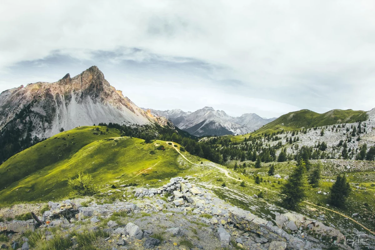 Jak Wybrać Luksusowe AGD do Projektowanej Kuchni: Przewodnik po Najlepszych Trendach i Rozwiązaniach