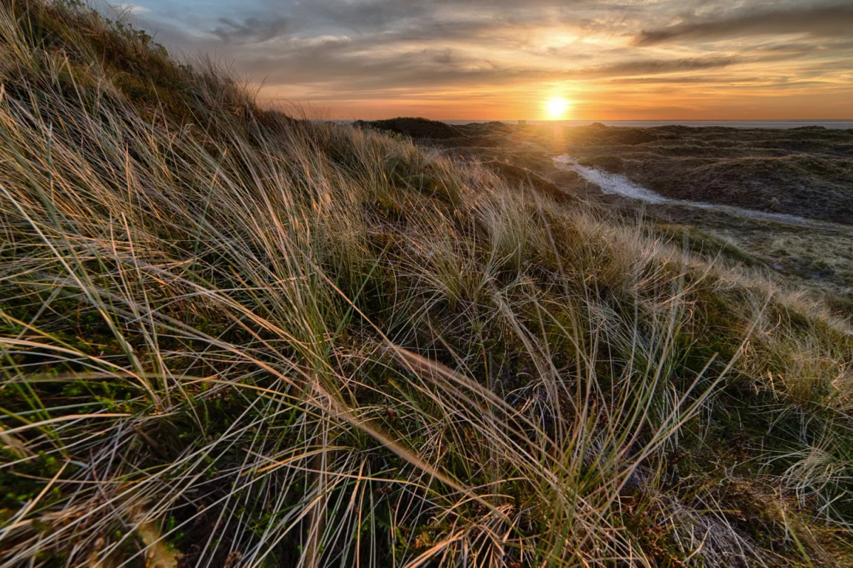Półkotapczan z sofą – idealne rozwiązanie dla małych wnętrz